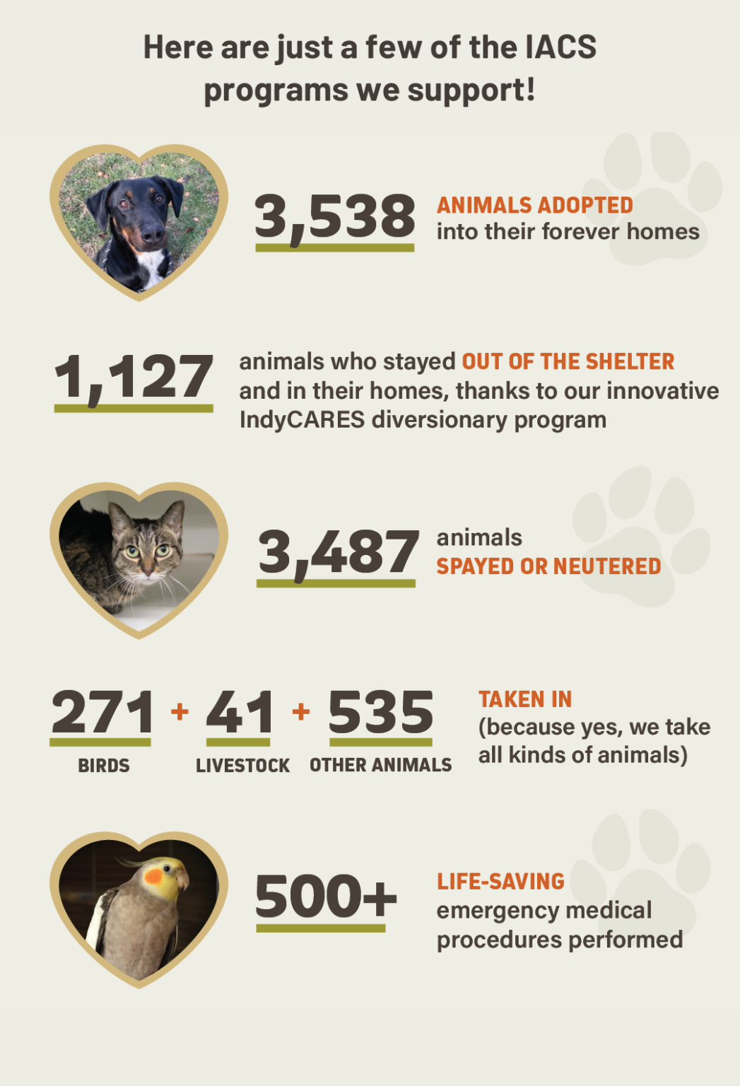 Our Impact - Friends of Indy Animals